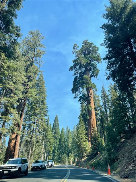 A Perfect A Perfect 1-Day Sequoia National Park Itinerary