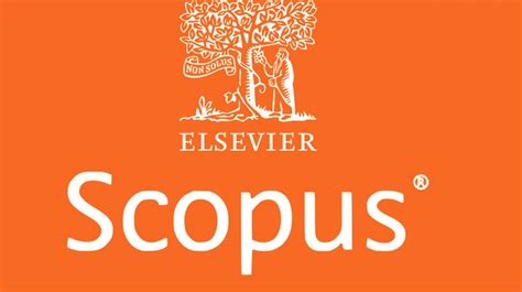 Scopus: la herramienta clave para la investigación académica ...
