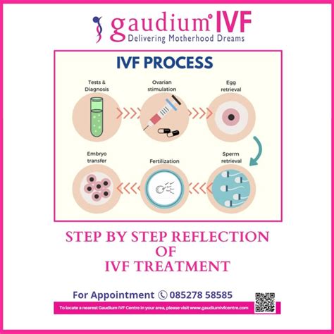 IVF Treatment Procedure Step by Step, IVF Process – Fertilized Egg