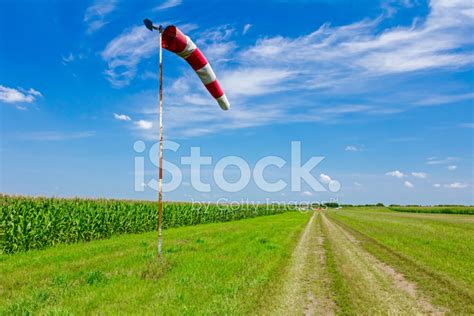 Image result for Wind Direction Indicator