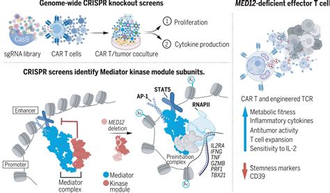 Seth Thomas Scanlon (@ImmunoEditor@mstdn.social) - Mastodon 🐘