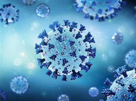 endemic stage: Has Covid reached an endemic stage in India? - Endemic ...