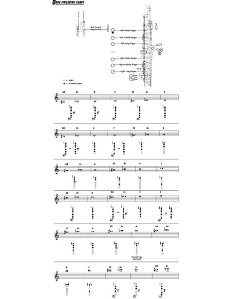 Oboe Reed Chart at Charles Mazurek blog