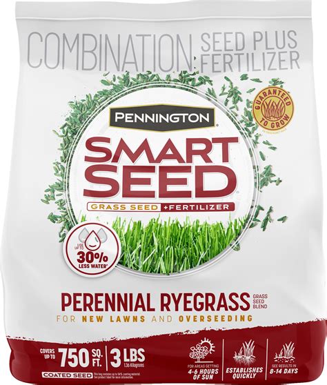 Pennington Smart Seed Perennial Ryegrass Grass Seed, for Full Sun, 3 lb ...