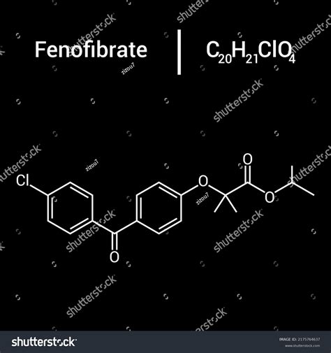 Image result for If Else Loop Example