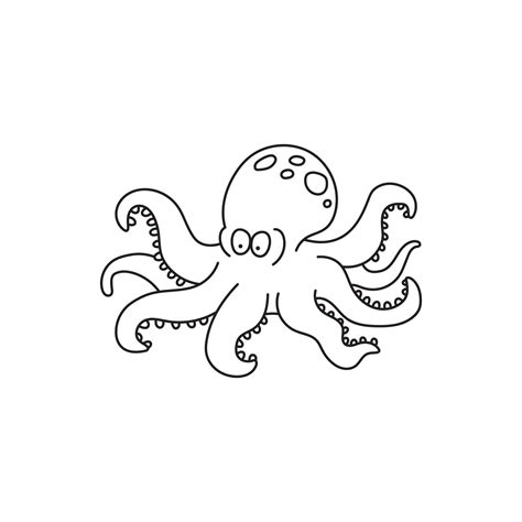 Octopus Software without Box 的图像结果