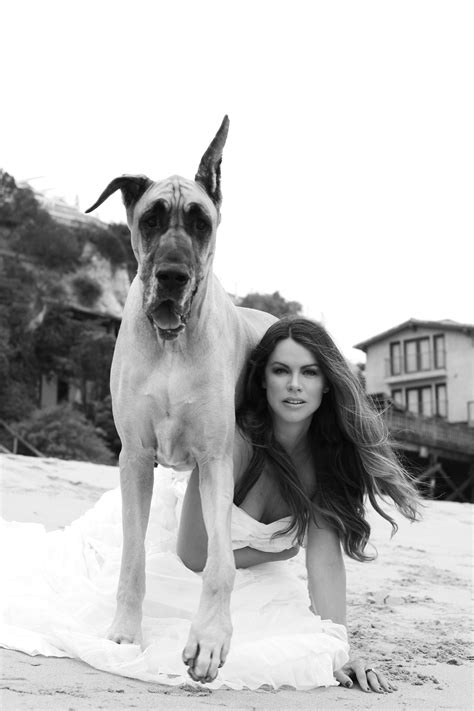 Great Dane | Robert Homes (@robpuphome)