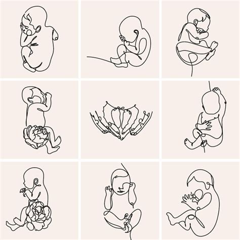 Continuous line drawing baby in womb on the white background vector ...