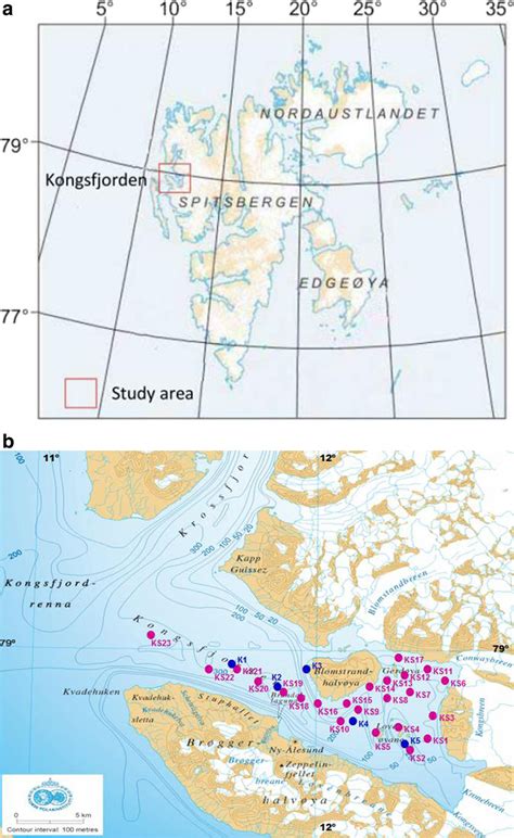 Image result for Svalbard Archipelago Map