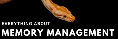 Image result for Memory Management in Python Interview