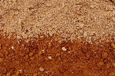 What Is Clay Soil? | The Family Handyman