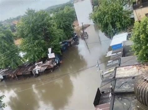 Rajasthan Rain Live Updates Bharatpur, Sikar, Jhunjhunu