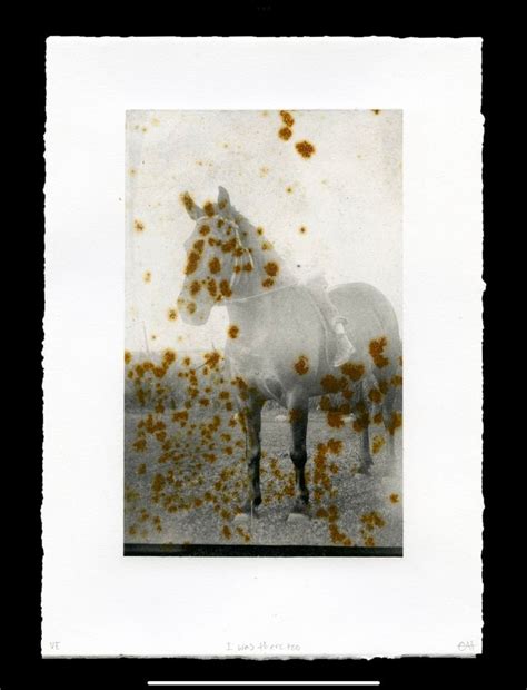 Introduction to Photopolymer Gravure, SNAP - Society of Northern ...