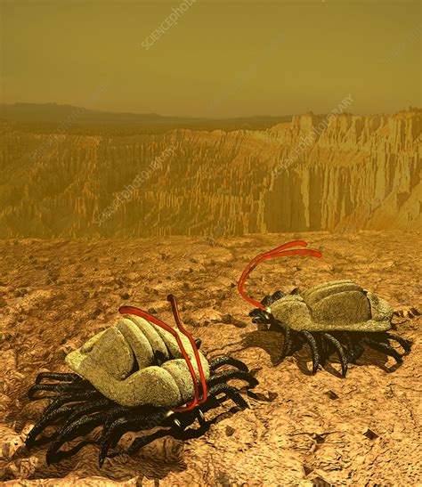 Image result for Alien Life Form