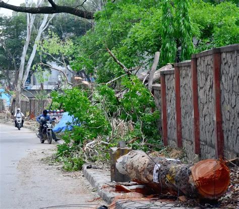 Kerala May Witness A Spike In COVID-19; 3-Yr-Old Girl Allegedly Raped ...