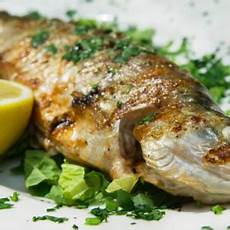 come cucinare trota come cucinare la trota al forno le nostre ricette tecnichef come cucinare trota come cucinare la trota al forno le nostre ricette tecnichef