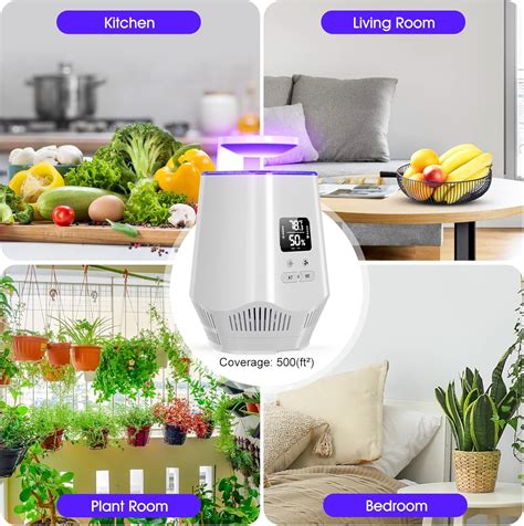 Fooxem Fruit Fly Traps for Indoors, Gnat Traps for House India | Ubuy