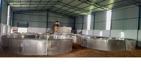 Exploring the Recirculating Aquaculture System (RAS)