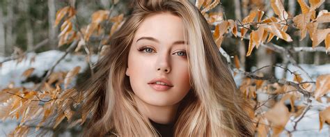 Image result for Image Matting Algorithm Python