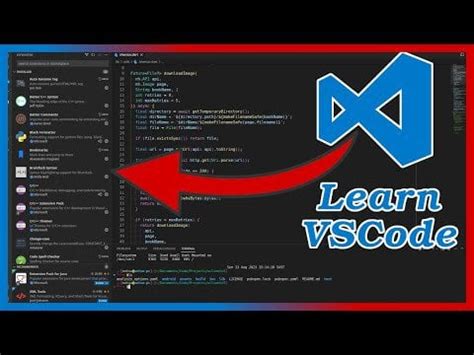 Vscode Tutorial 的图像结果