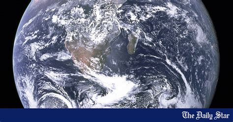 Life Science Theories 的图像结果