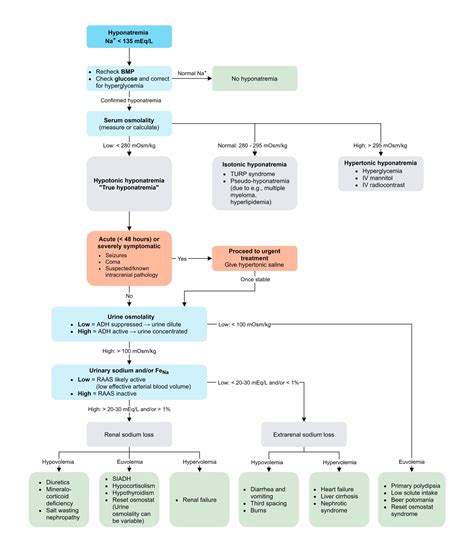 Hyponatremia Algorithm 的图像结果