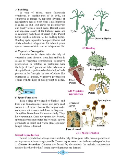 10th Science Maharashtra Board 的图像结果