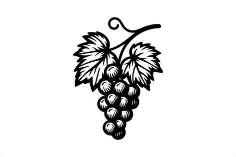 Grape Outline Vector Clipart Graphic by SKShagor Barmon · Creative Fabrica