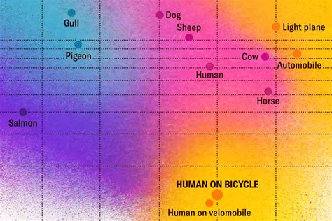 A Human on a Bicycle Is among the Most Efficient Forms of Travel in the ...