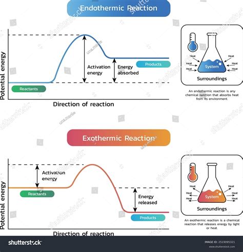 Exothermic Reaction Diagram Energy In Chemical Reactions | CK 12