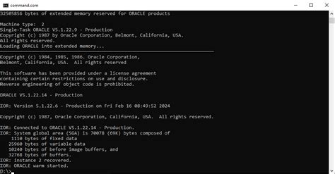 Image result for MS-DOS Video Player