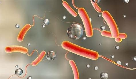 Tarkwa Nsuaem Municipal Health Directorate initiates cholera prevention ...