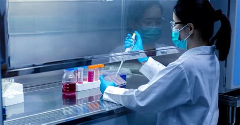WHO Consults On Harmonizing Biowaiver Guide With ICH M9