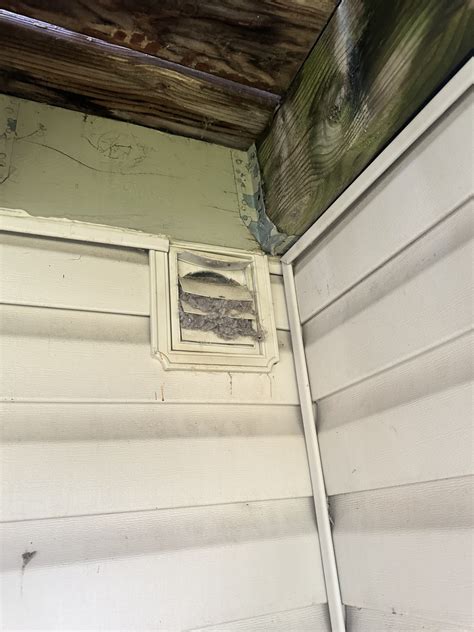 Clogged dryer vent - Atlas Restoration & Construction