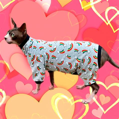 Buy Rainbows Cat Romper Catsuit Pyjamas Sphynx Clothes Clothing Jumper ...