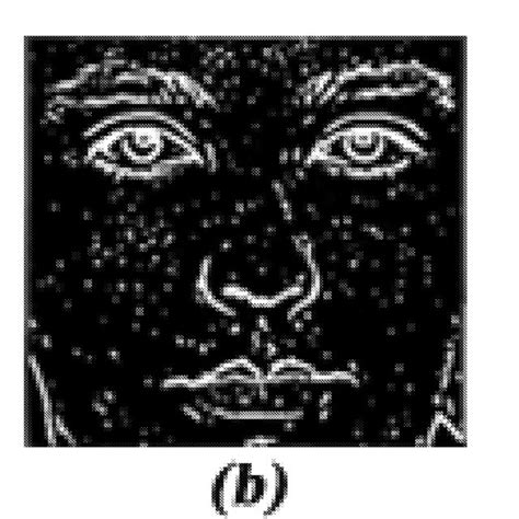 Image result for Perform Edge Detection Using the Laplacian of the Gaussian in Python