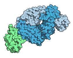 Tralokinumab associated with increased risk of conjunctivitis in severe ...