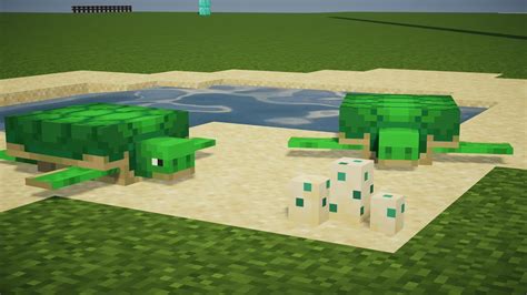 Turtle Tutorial Minecraft 的图像结果