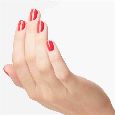 Nail Lacquer • My Chihuahua Bites