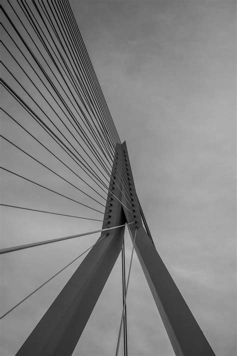 Halfbridge Images - Free Download on Freepik