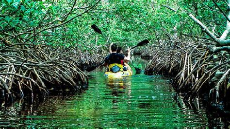 Attractions | CINNAMON GROVE