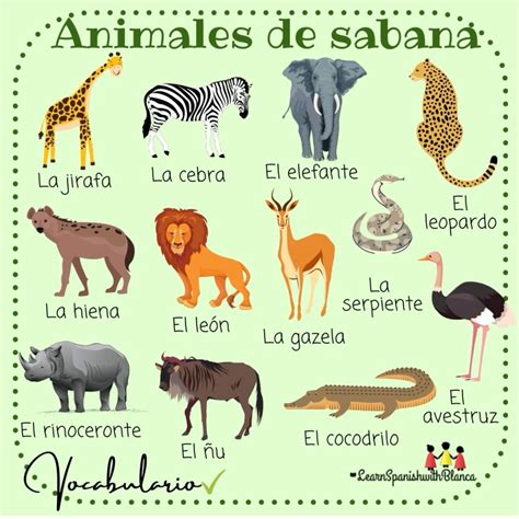 Épinglé par Sheyla625 sur Espñol | Vocabulaire espagnol, Espagnol ...