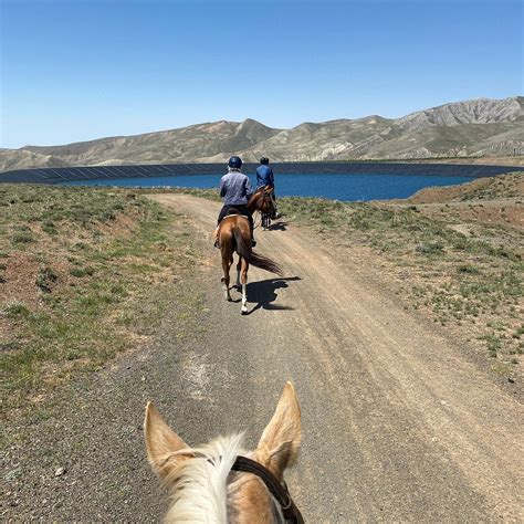 Daryan (2025) - All You Need to Know BEFORE You Go (with Reviews)