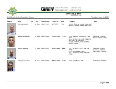 Cerro Gordo County Jail log for June 16
