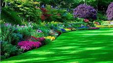 Garden Photo Wallpaper Hd by 267 Garden Hd Wallpapers Background Images Wallpaper Abyss Garden Photo Wallpaper Hd