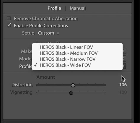 Image result for GoPro Distortion