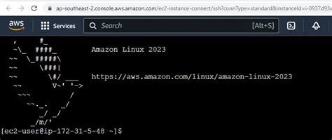 Image result for Nginx Amazon Linux 2