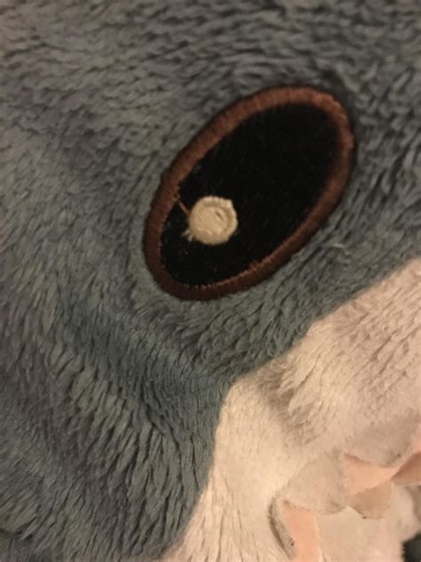 Beanie is not a fan of the haj stack : r/BLAHAJ