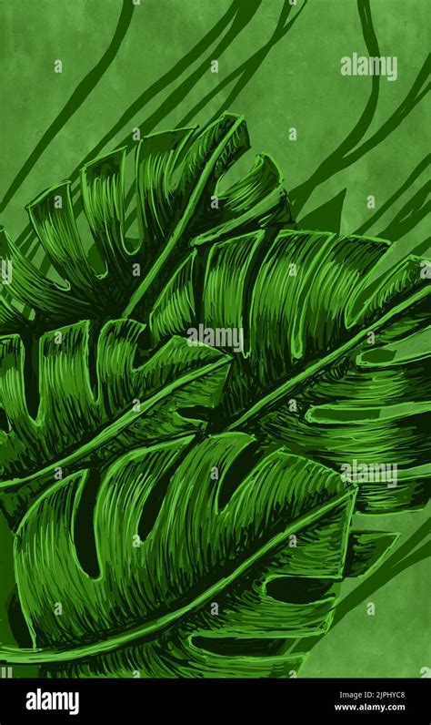 Image result for Foliage Digital Art Tutorial