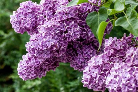 Image result for Functions Ppt Background SQL